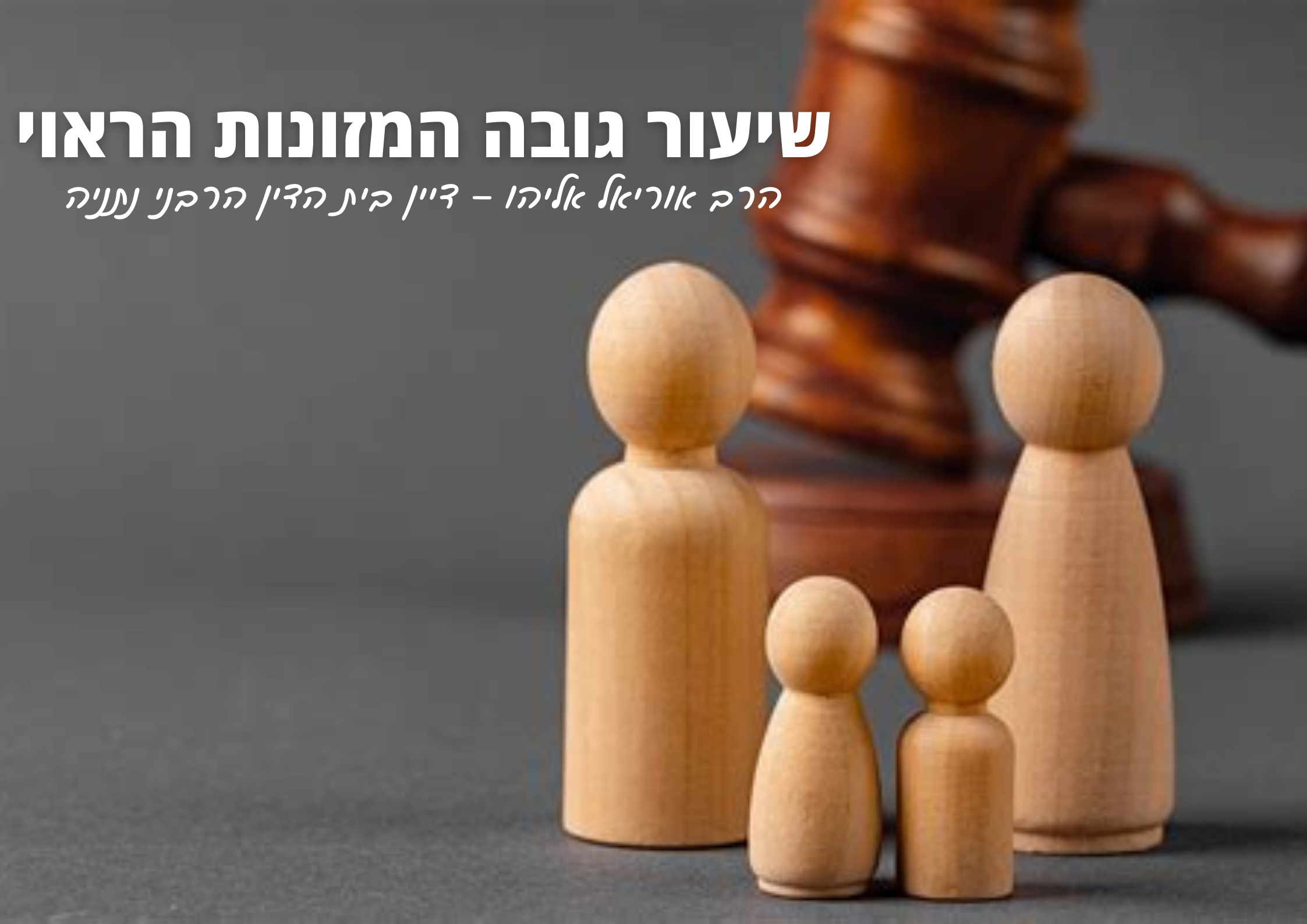 שיעור גובה המזונות