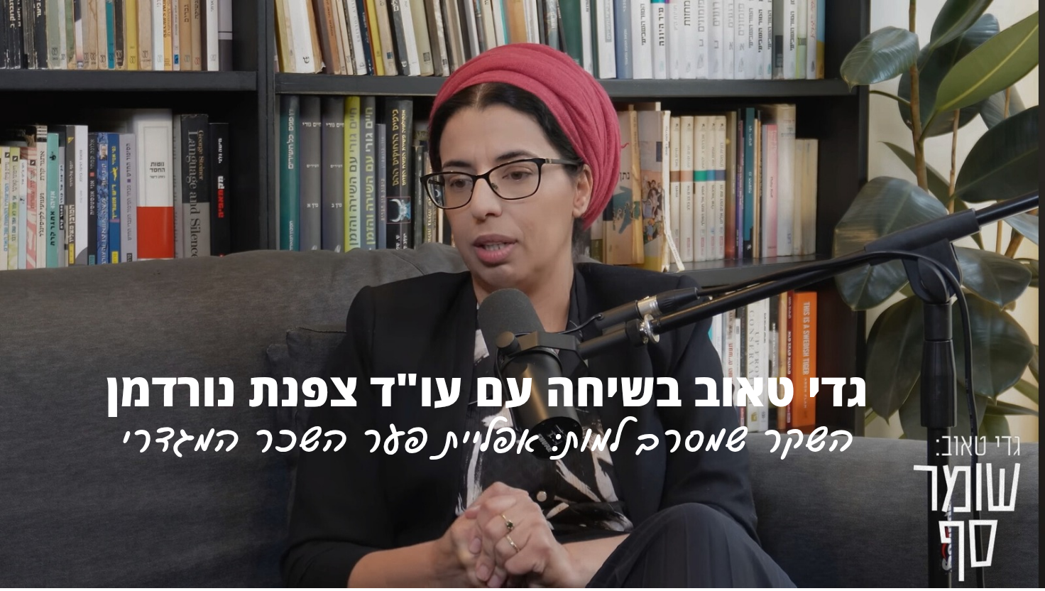 צפנת נורדמן השקר שמסרב למות: אפליית פער השכר המגדרי