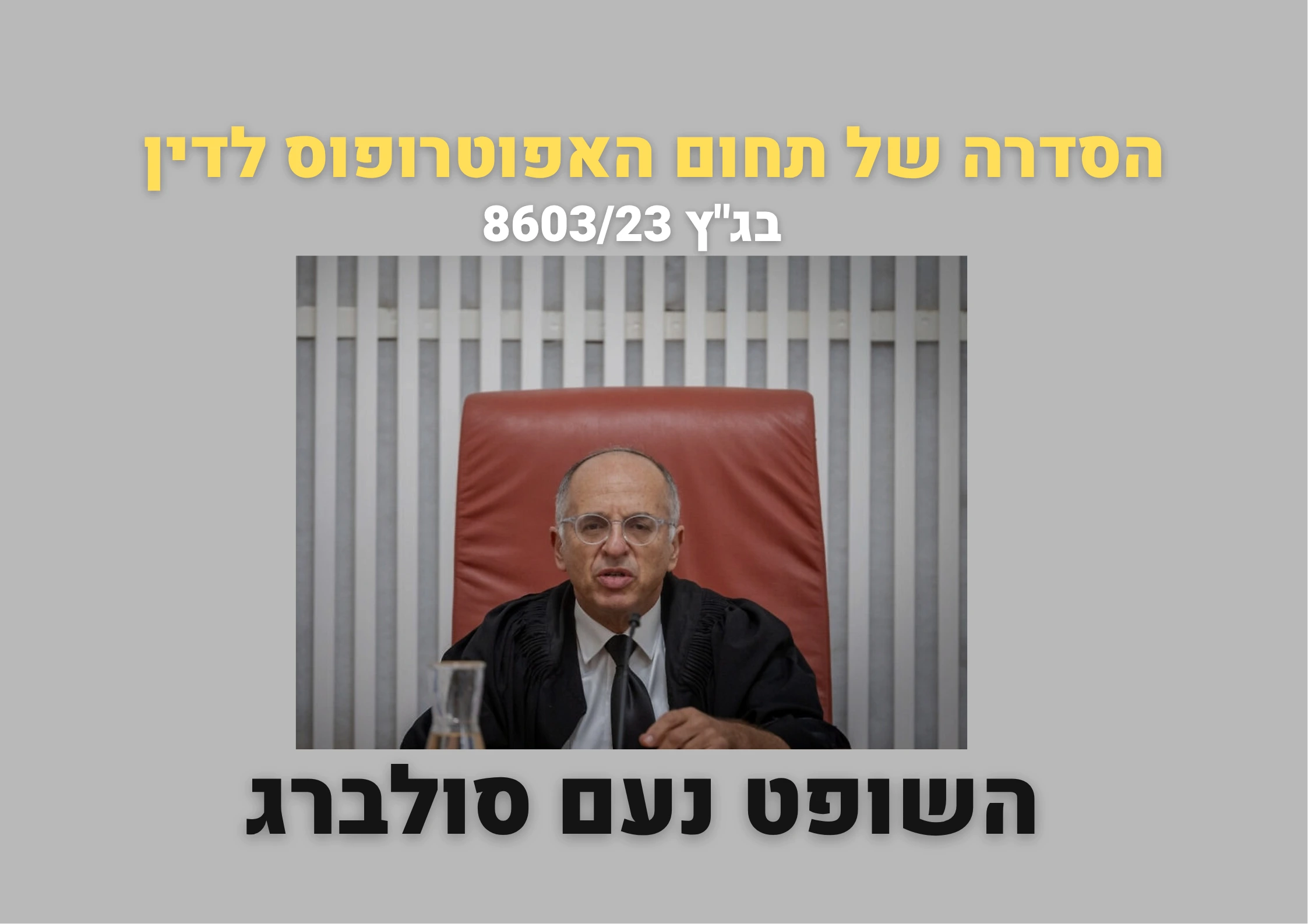 בגץ 860323 השופט סולברג הסדרה של תחום האפוטרופוס לדין